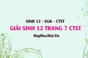 Giải Sinh 12 trang 7 Chân trời sáng tạo SGK